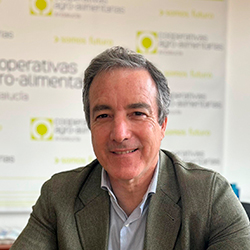 Jaime Martínez-Conradi Álamo