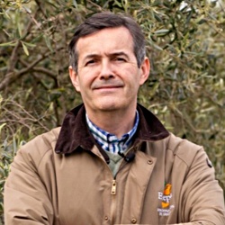 Moisés Caballero Páez